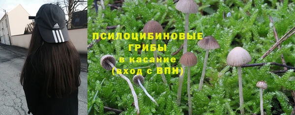 герыч Семикаракорск