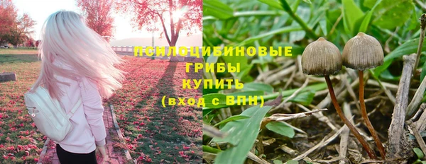 гашиш Вяземский