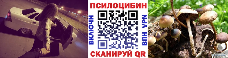 Псилоцибиновые грибы прущие грибы  где купить наркотик  Ленинградская 